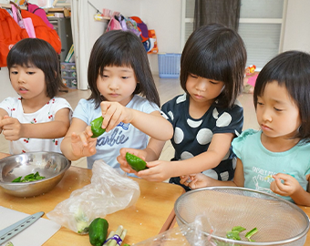 ４人の女の子がピーマンの種をとっている様子