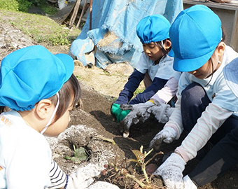 青い帽子の子供が３人、土を掘っている様子